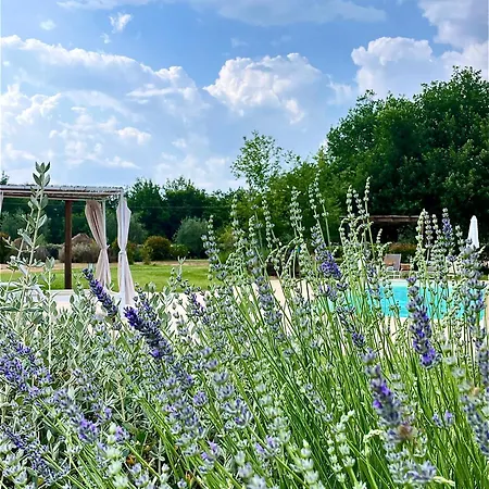 Maremma Country Chic Le Ginestre Holiday home