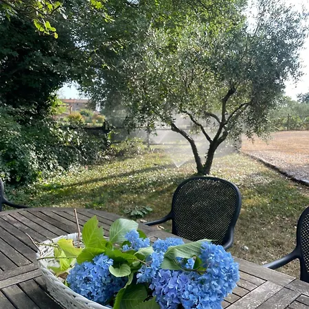 Maremma Country Chic Le Ginestre Dom wakacyjny *