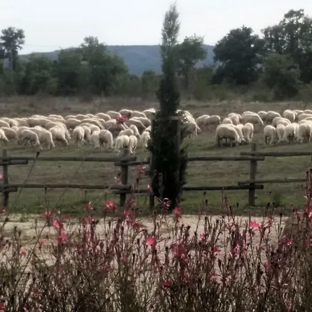 Maremma Country Chic Le Ginestre Hébergement de vacances *